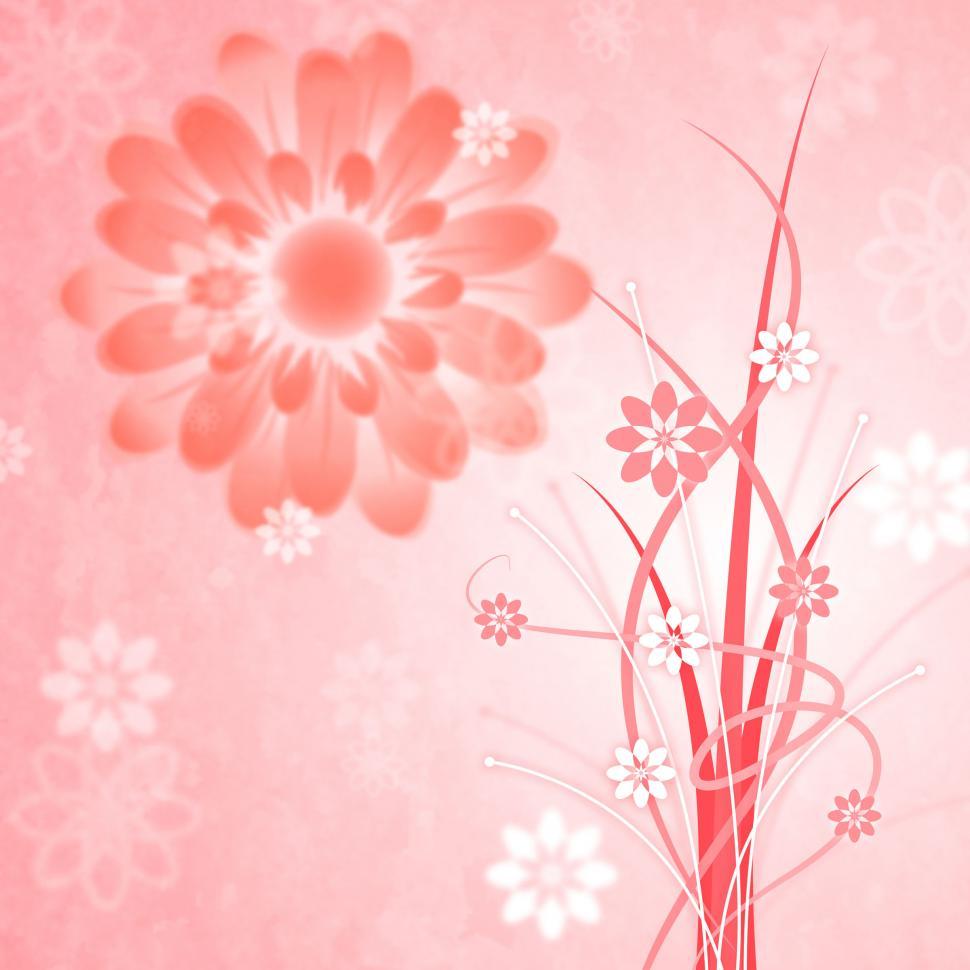Free Image of Background Pink Shows Bloom Petal And Blooming 