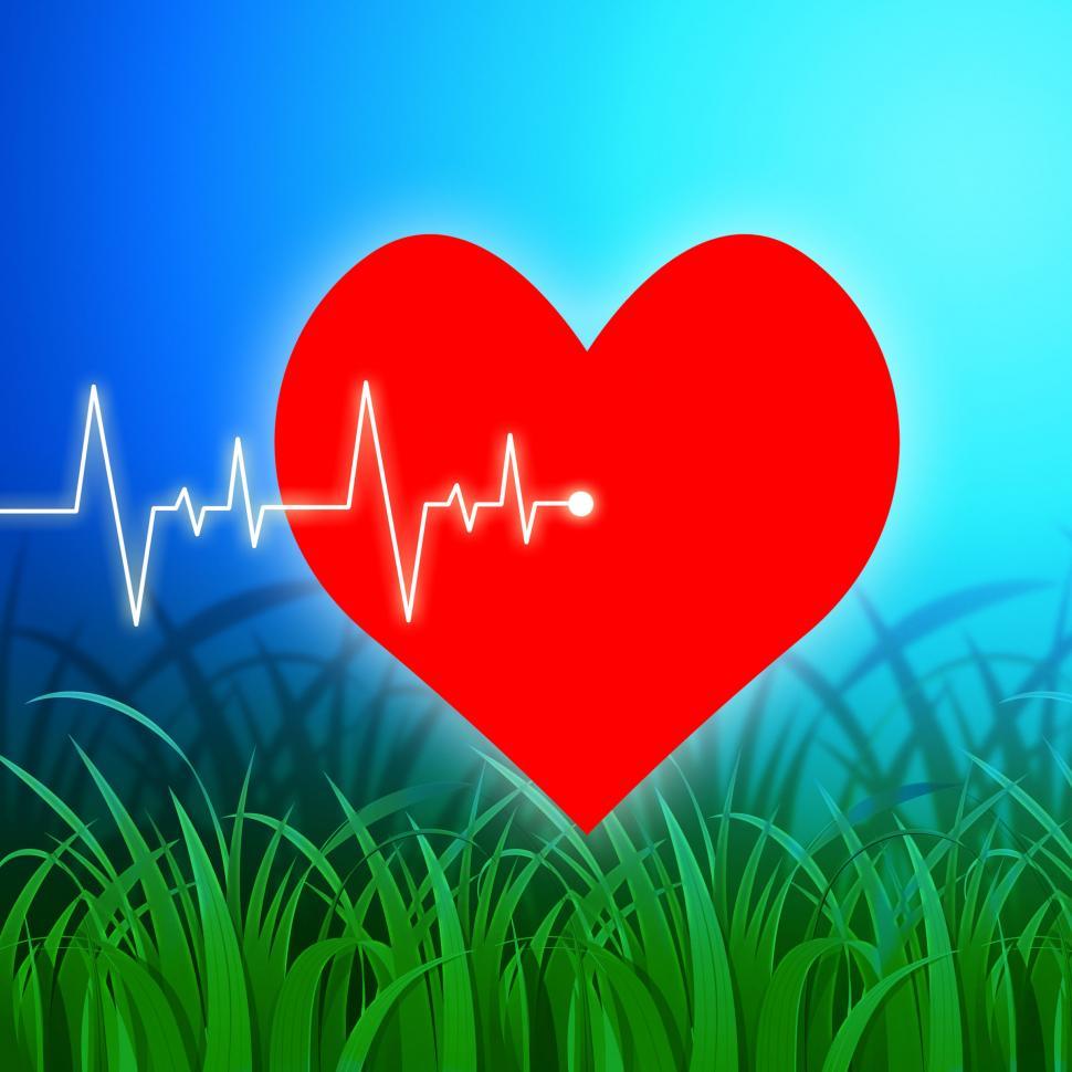 Download Free Stock Photo of Heart Pulse Indicates Valentines Day And Cardiology 