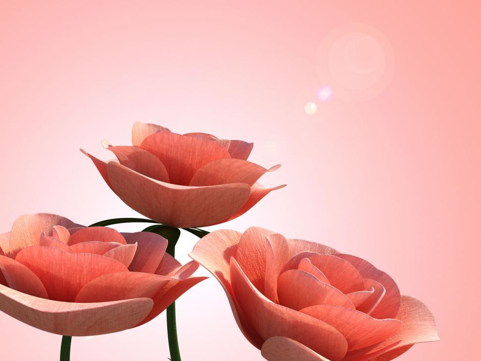 Free Image of Copyspace Roses Means Romance Petal And Flora 