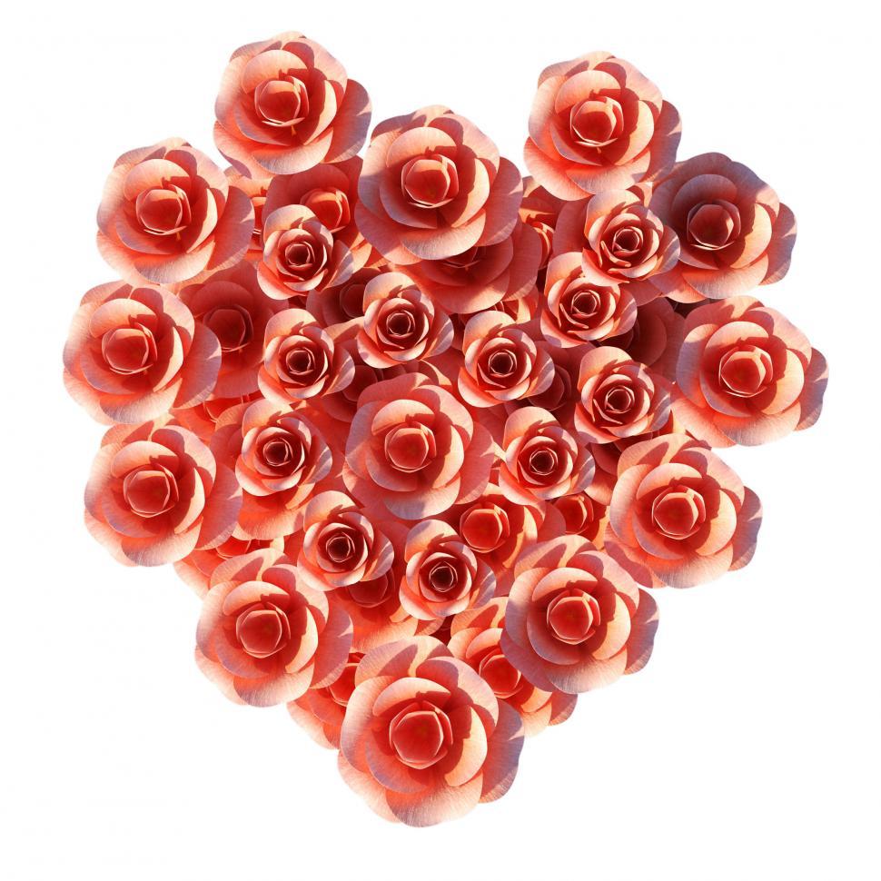 Free Image of Heart Roses Means Valentine Day And Flora 