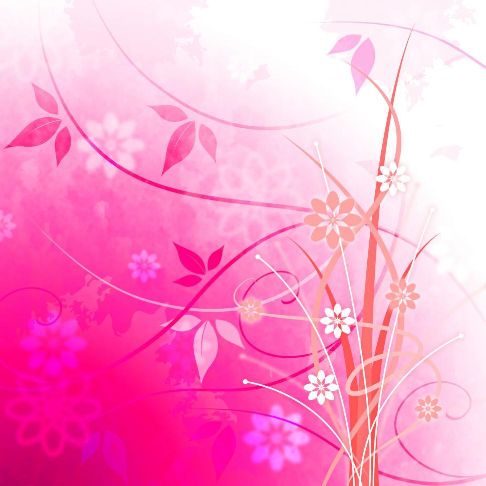 Free Image of Background Floral Shows Light Burst And Glaring 