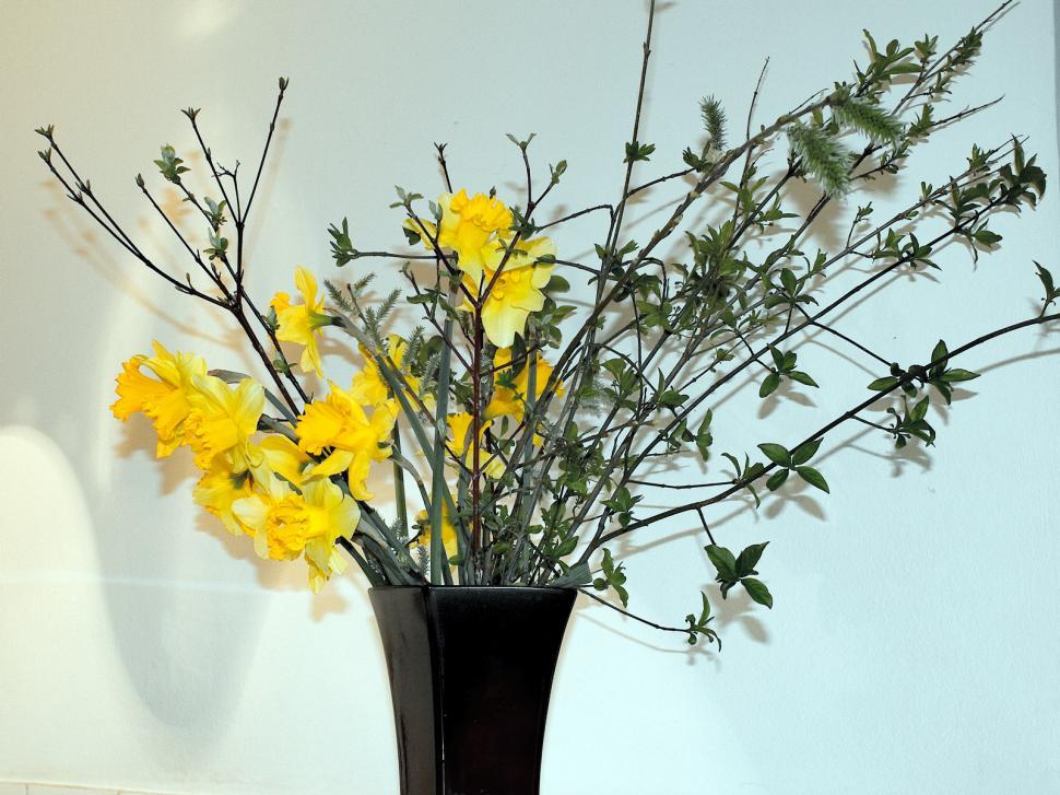 Free Image of Flowers in a vase 