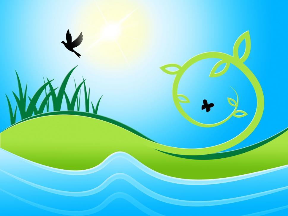Free Image of Birds Sea Shows Water Grass And Meadow 