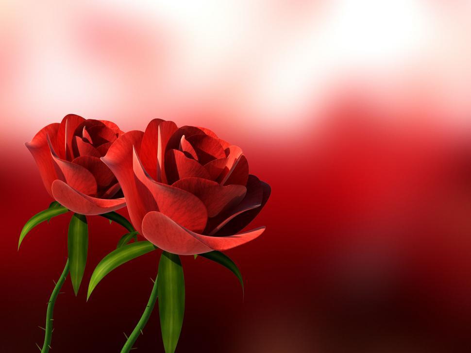Free Image of Roses Copyspace Means Petals Romantic And Romance 