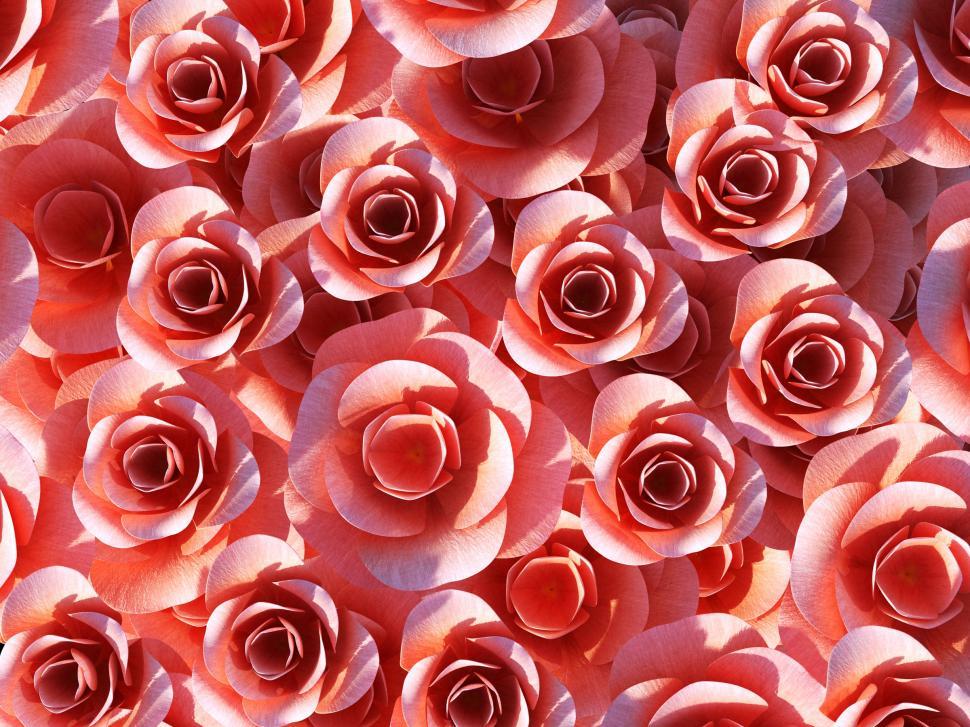 Free Image of Background Roses Represents Design Petal And Flora 