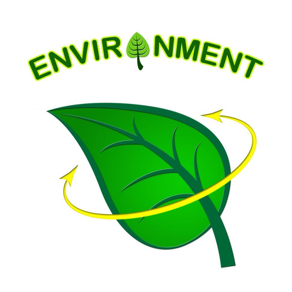 Free Image of Environment Leaf Shows Earth Friendly And Conservation 