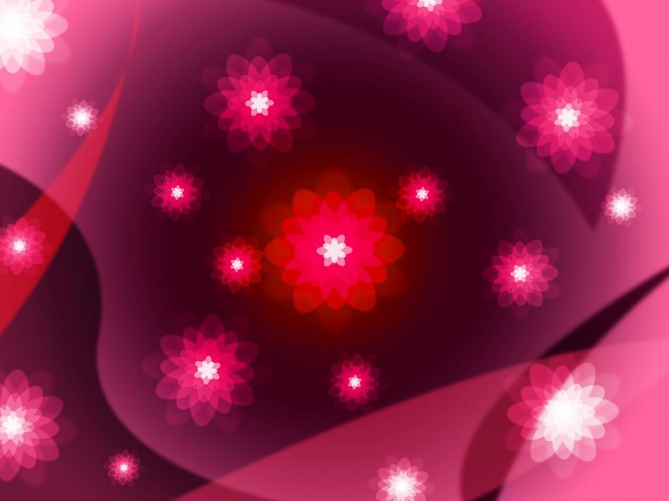 Free Image of Floral Red Shows Blooming Template And Florals 