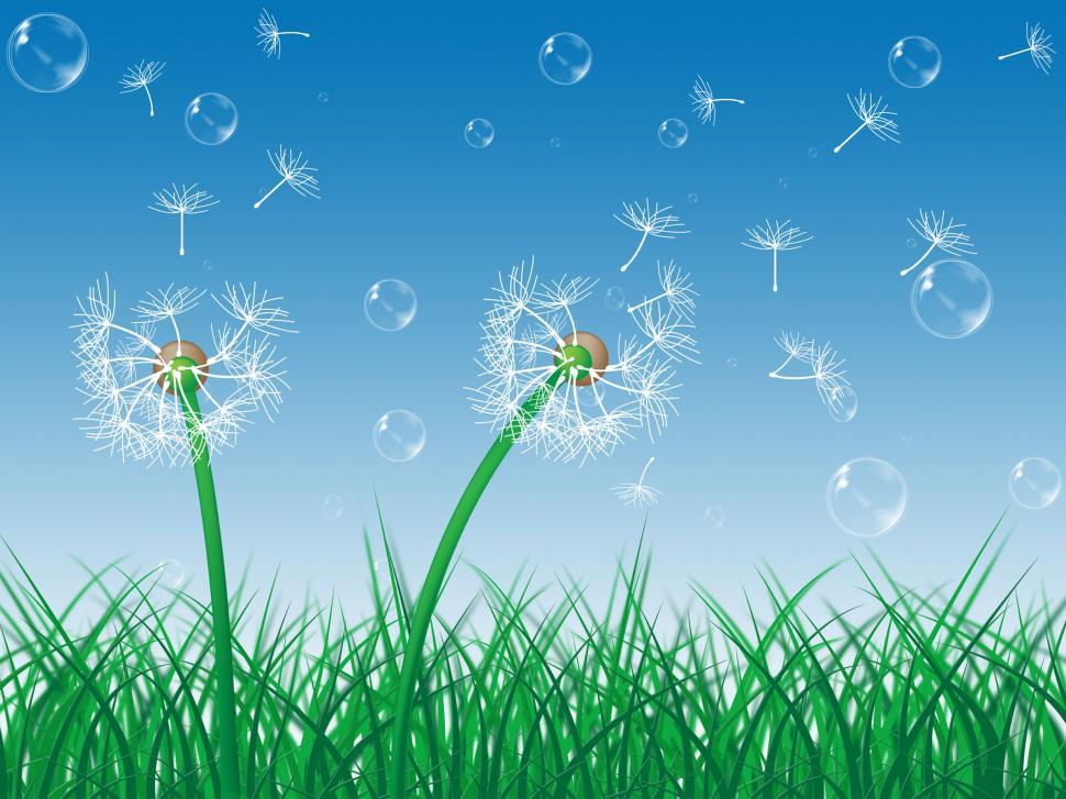 Free Image of Dandelion Sky Indicates Green Grass And Environment 