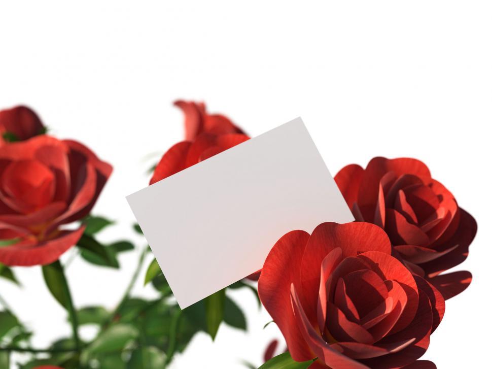 Free Image of Gift Card Means Text Space And Bloom 