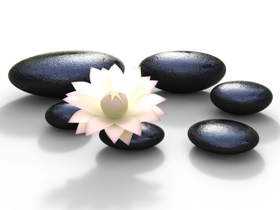 Free Image of Spa Stones Represents Bloom Peaceful And Spirituality 