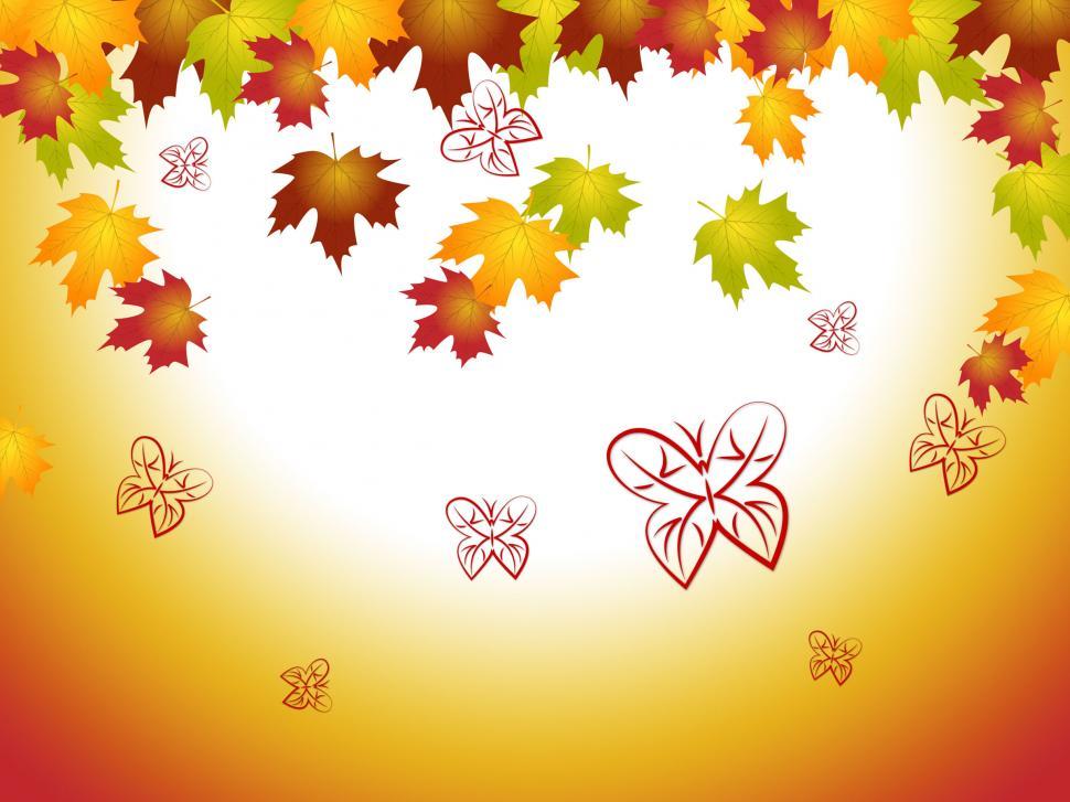 Free Image of Nature Leaves Shows Autumn Countryside And Environment 