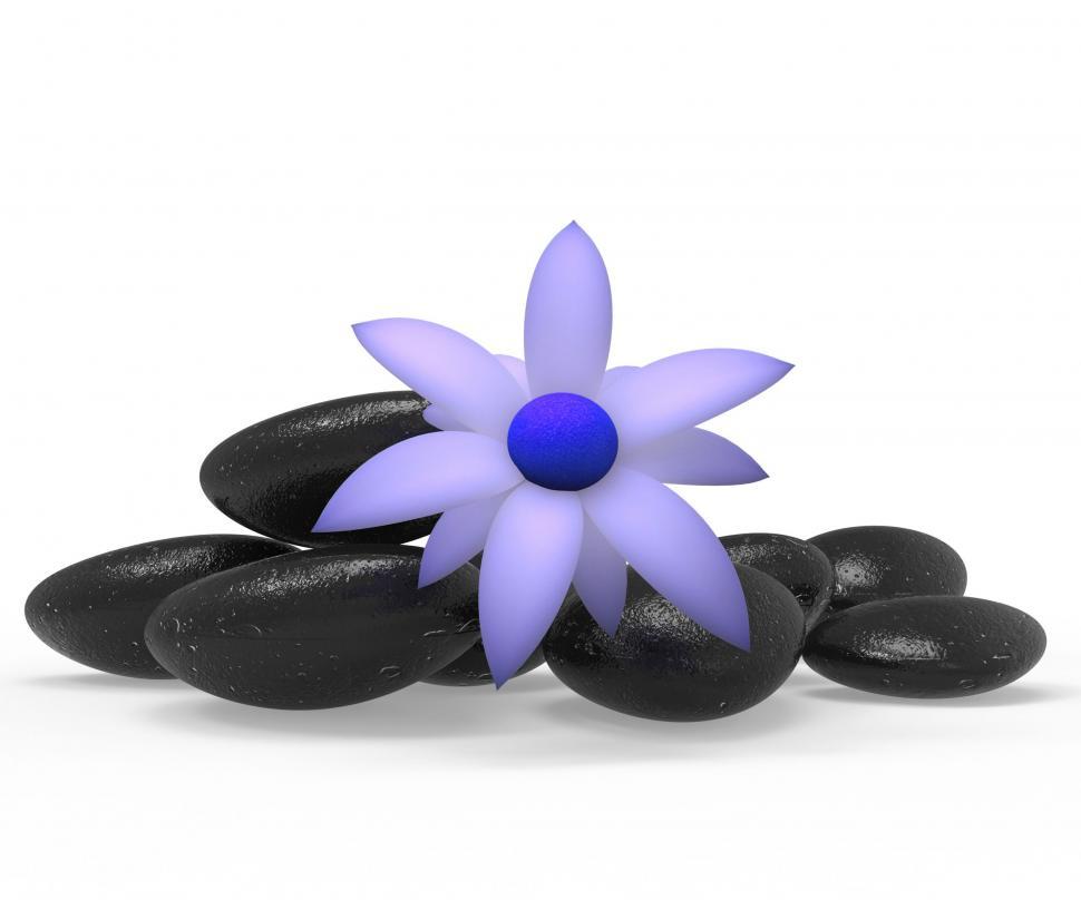 Free Image of Spa Stones Shows Peace Bloom And Petal 