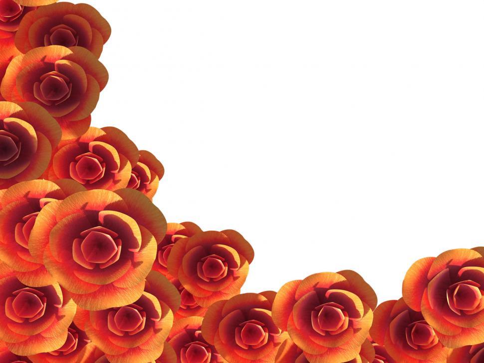 Free Image of Copyspace Roses Represents Romance Bloom And Copy-Space 