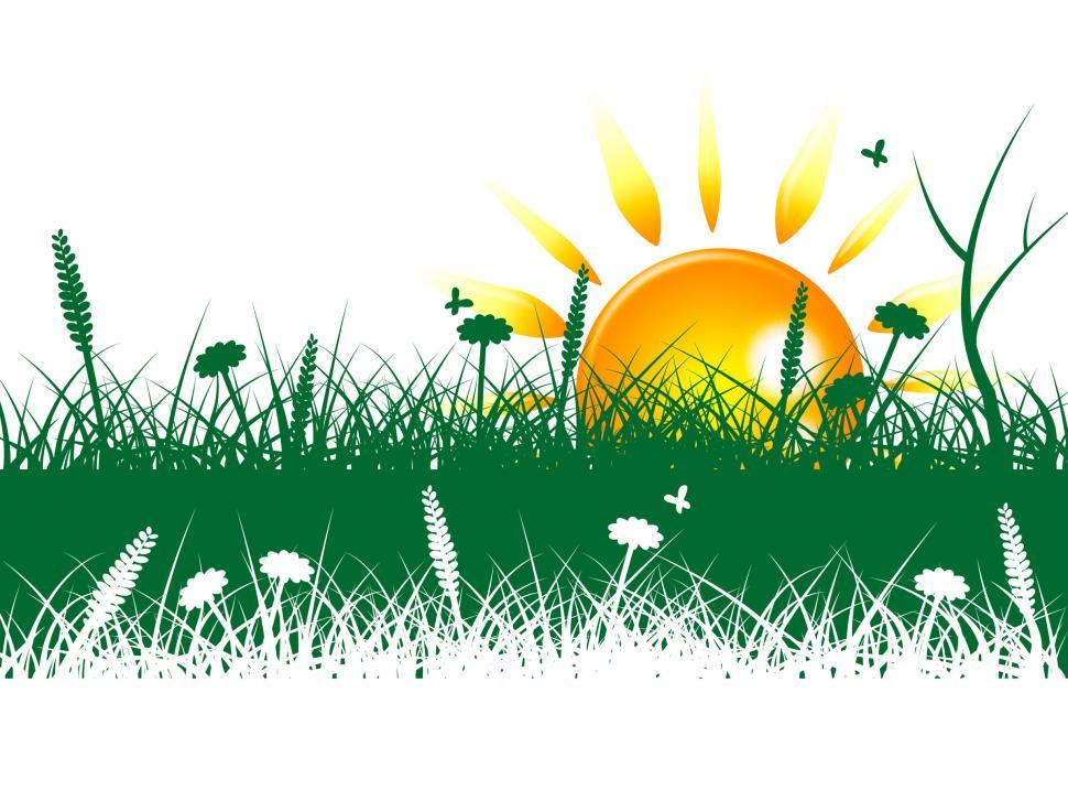 Free Image of Grass Sun Represents Grassy Summer And Outdoor 
