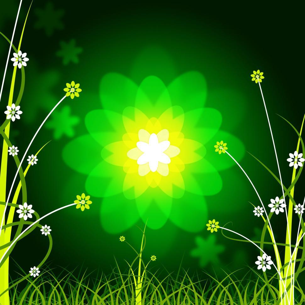 Free Image of Glow Floral Shows Empty Space And Backdrop 