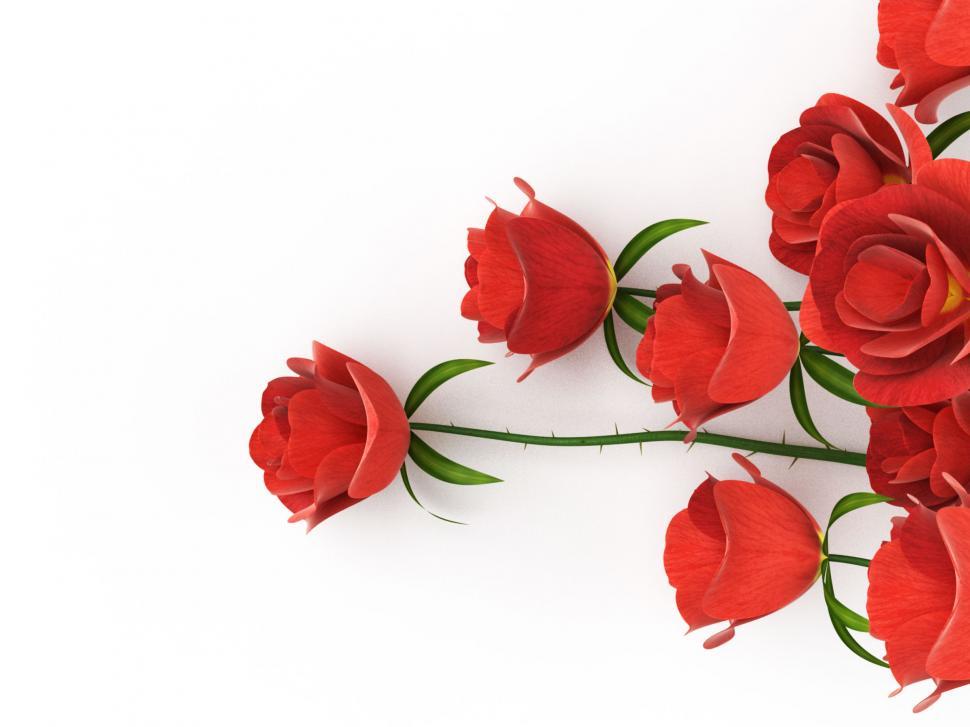 Free Image of Roses Love Indicates Petal Petals And Adoration 