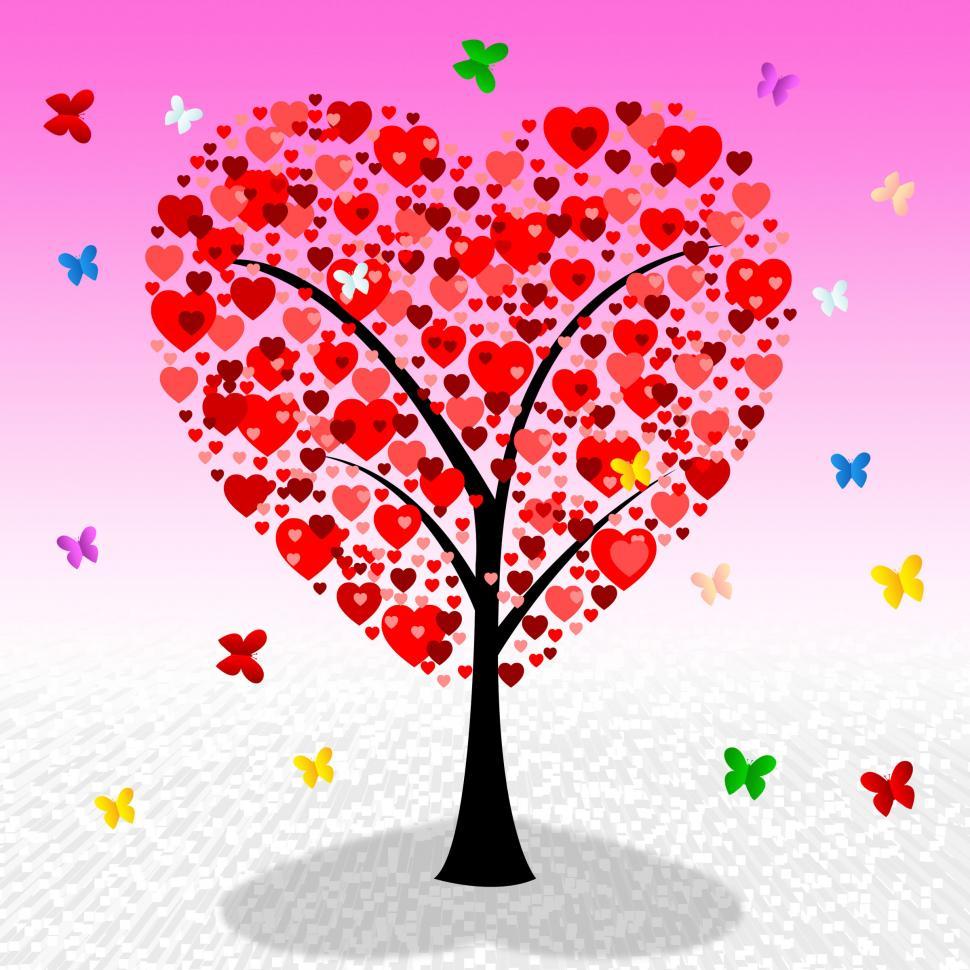 Free Image of Tree Hearts Indicates Valentine s Day And Affection 