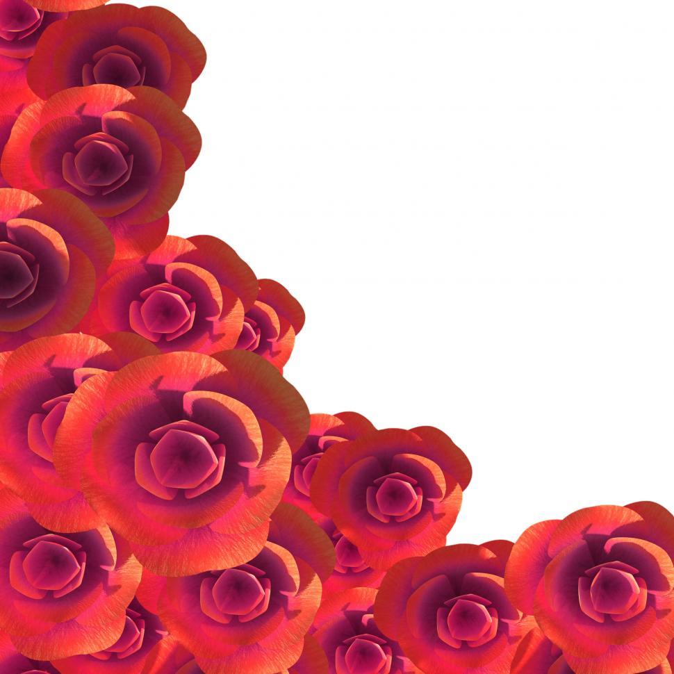 Free Image of Roses Copyspace Represents Flora Romance And Flower 