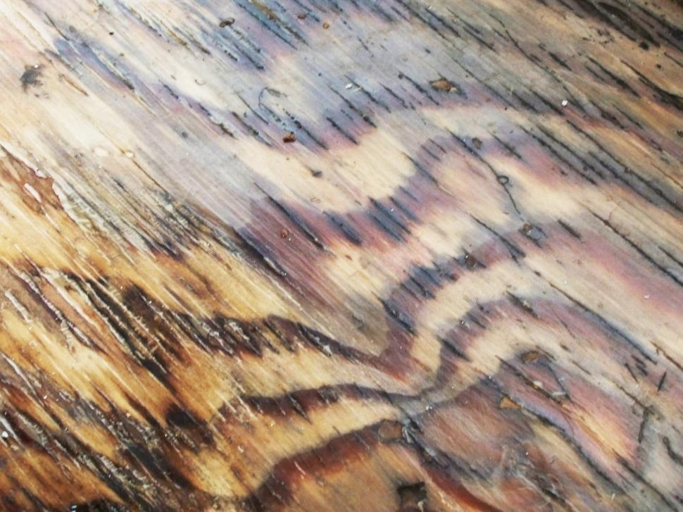Free Image of Close Up of Wood With Painting 