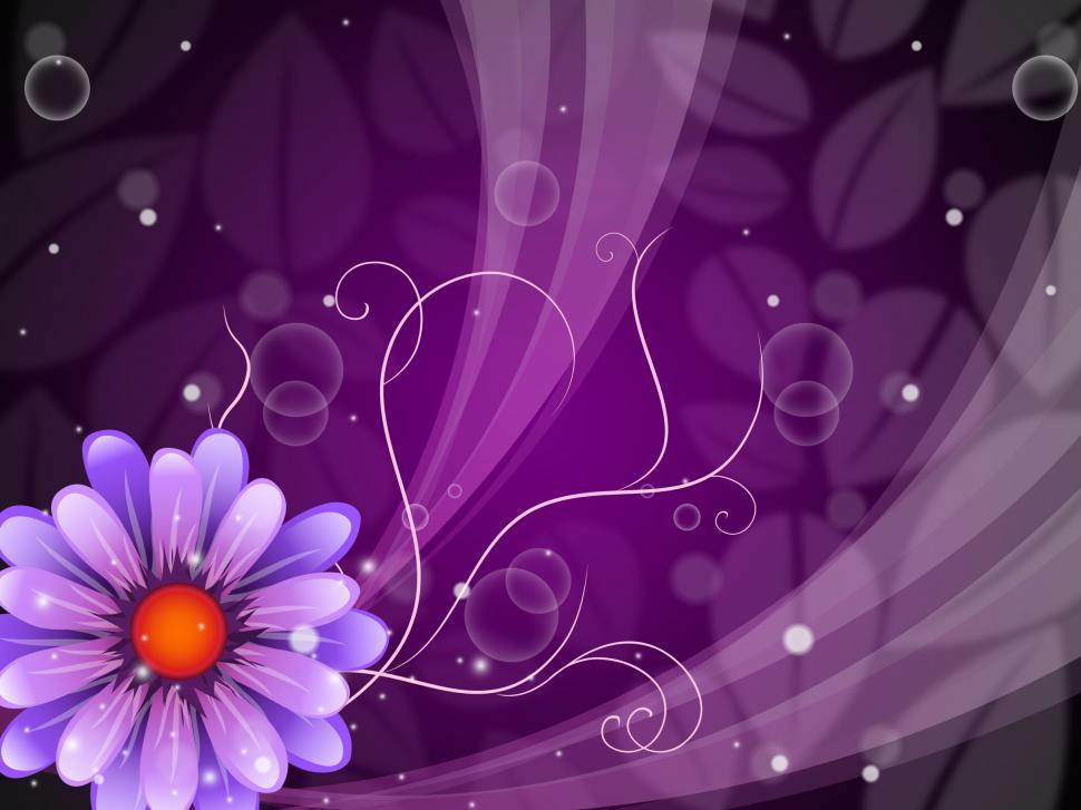 Free Image of Flower Background Shows Petals Blooming And Beauty  