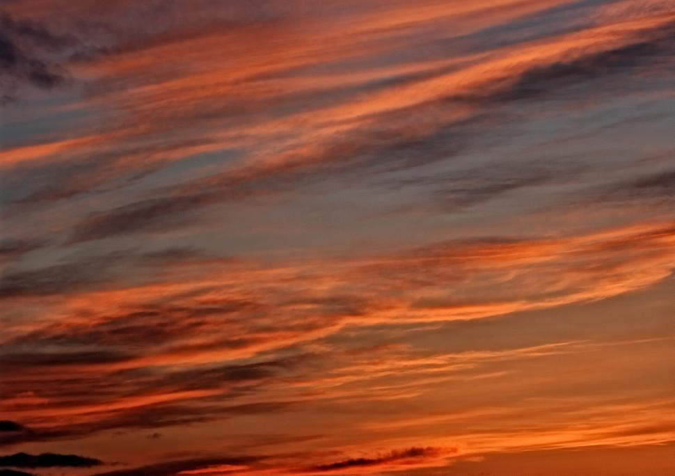 Free Image of Sunset - Orange 
