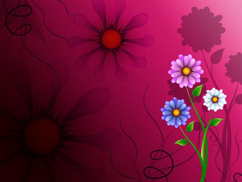 Free Image of Flowers Background Shows Blossoming Growth And Nature  