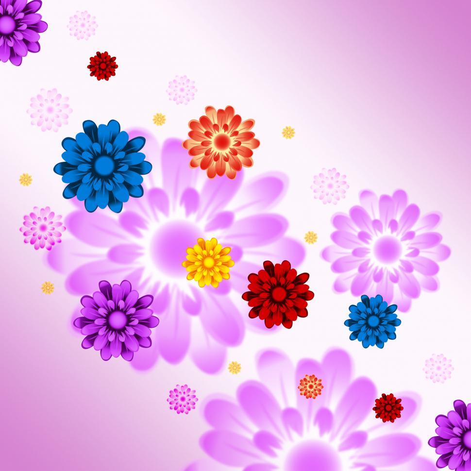 Free Image of Colorful Flowers Background Means Plants And Gardening  