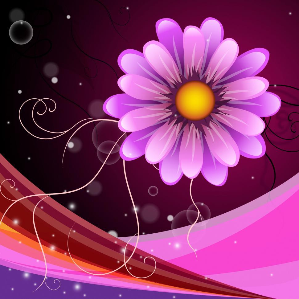 Free Image of Background Flower Represents Backgrounds Bloom And Abstract 