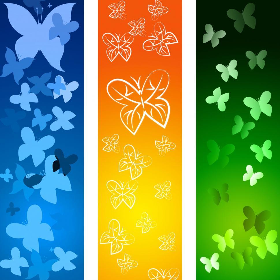 Free Image of Butterflies Copyspace Indicates Blank Flying And Backdrop 