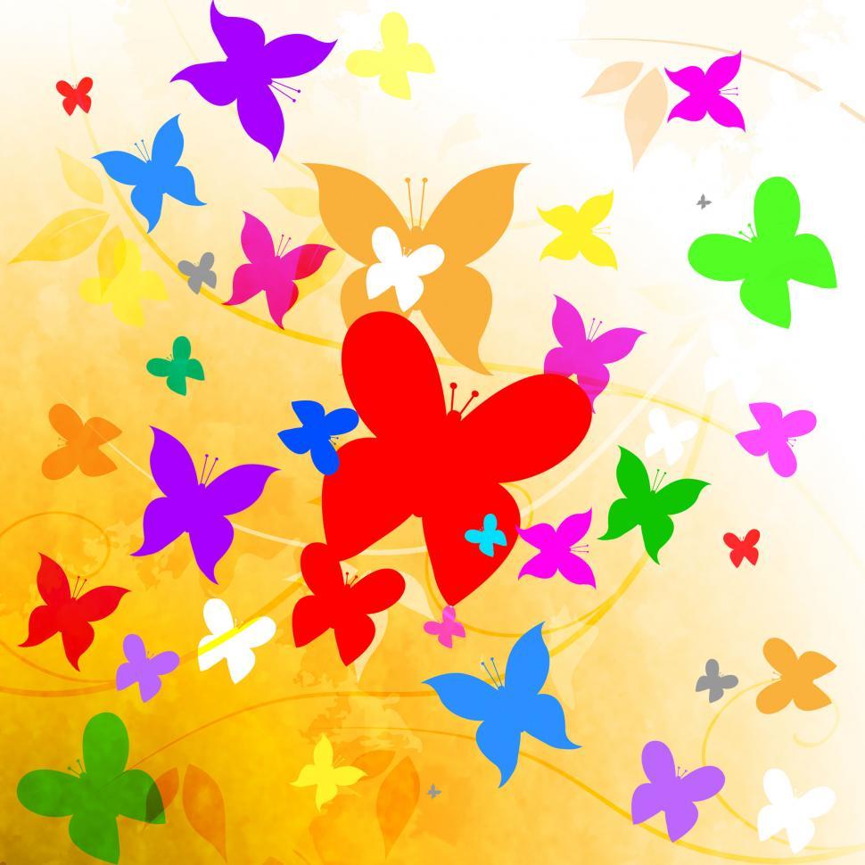 Free Image of Butterflies Summer Shows Summertime Hot And Flying 