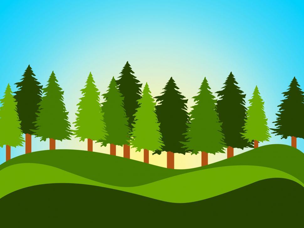 Free Image of Spring Countryside Indicates Tree Trunks And Landscape 