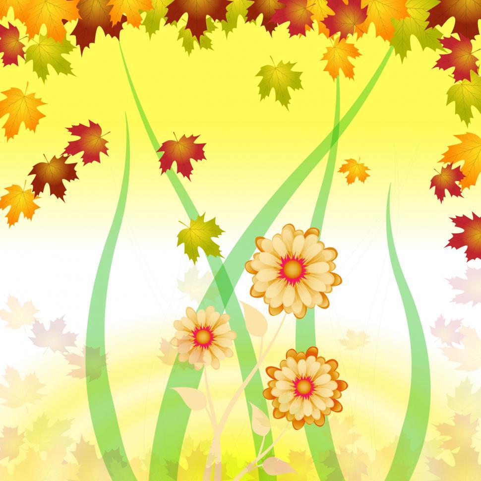 Free Image of Background Flowers Shows Backgrounds Abstract And Design 