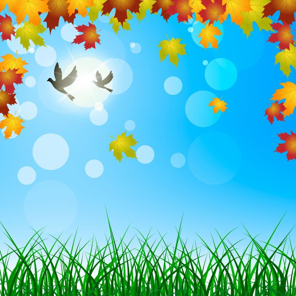 Free Image of Leaves Background Shows Blank Space And Botanic 