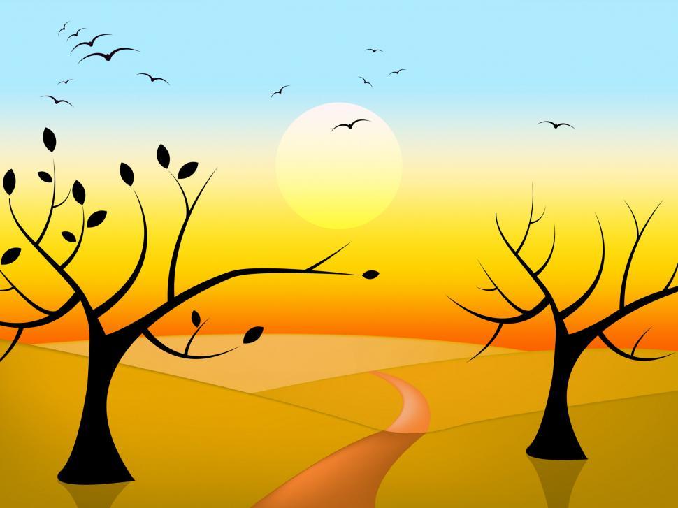 Free Image of Trees Sun Indicates Birds In Flight And Branch 