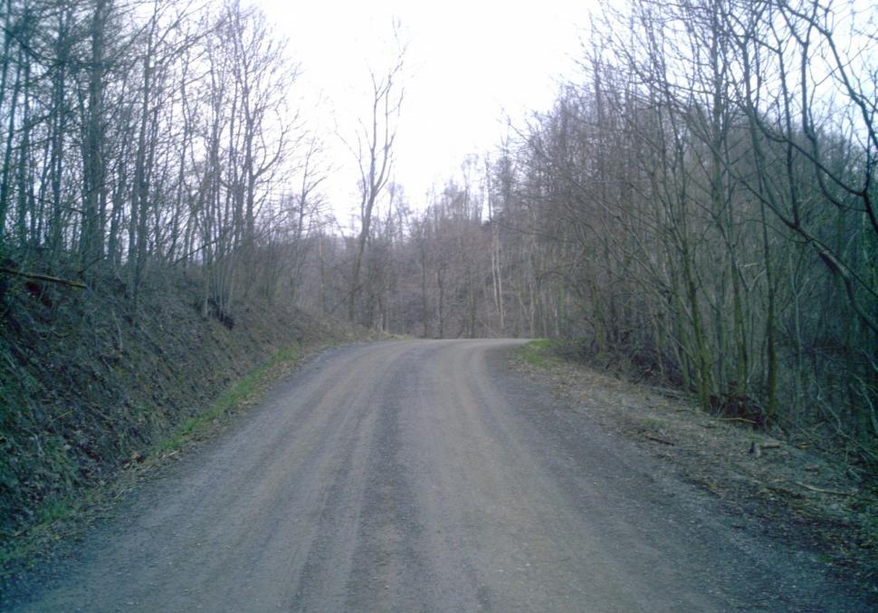 Free Image of Empty Dirt Road 