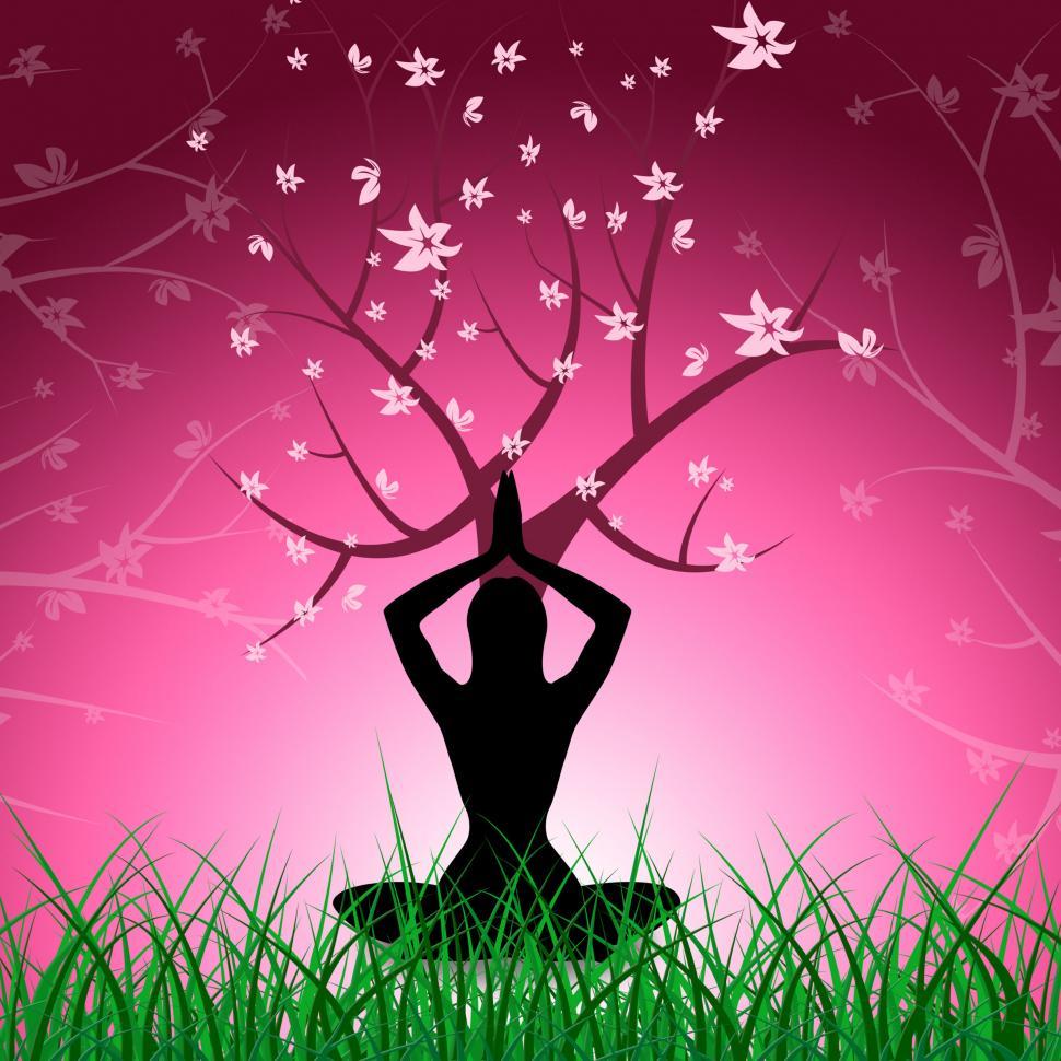Free Image of Tree Yoga Shows Love Not War And Branch 