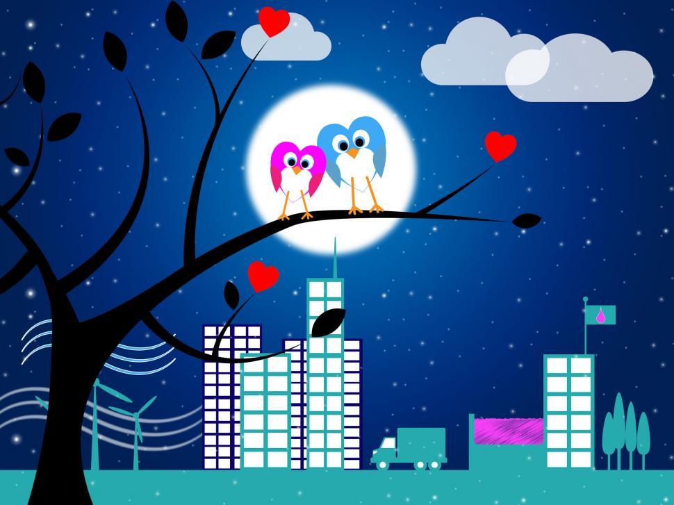 Free Image of Love Night Indicates Flock Of Birds And Affection 