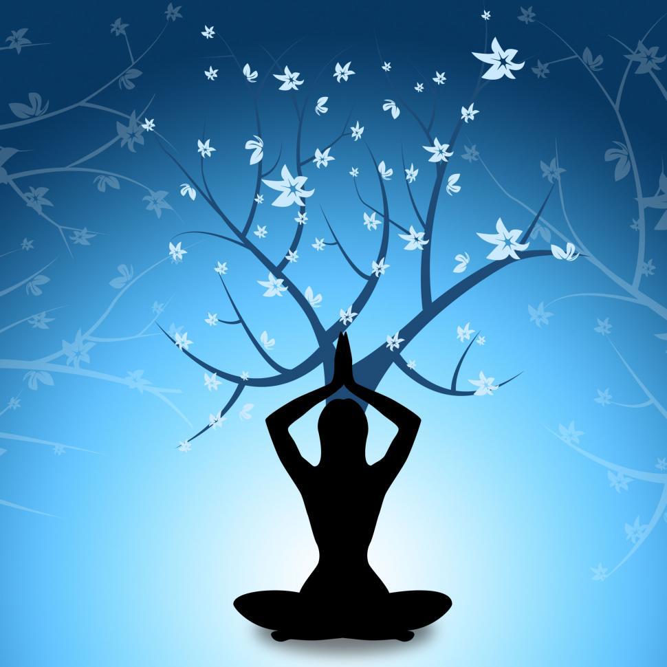 Free Image of Yoga Tree Shows Love Not War And Branch 