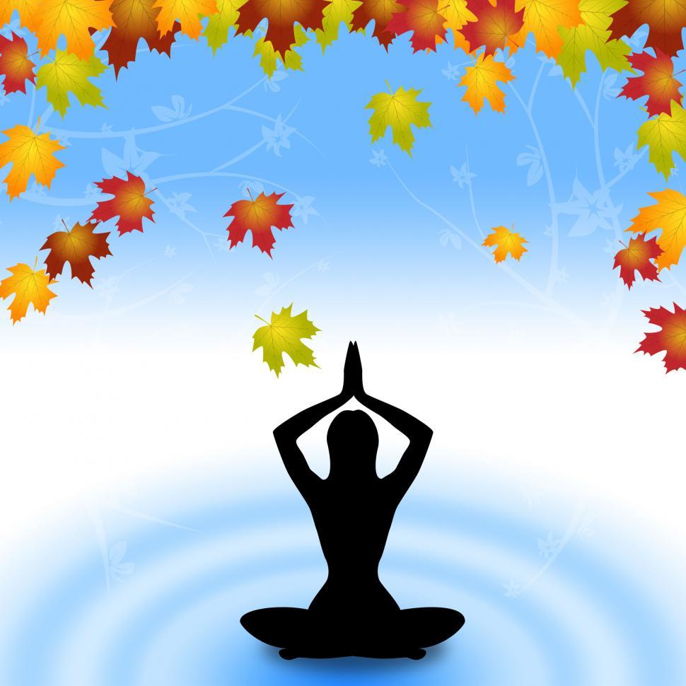 Free Image of Yoga Leaves Indicates Meditate Relaxation And Plant 