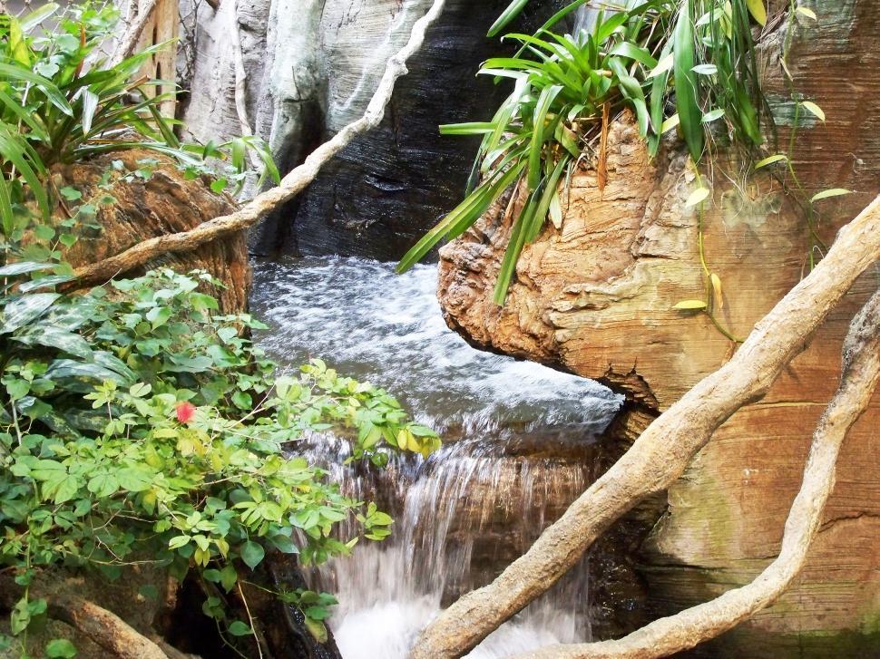 Free Image of Tropical Waterfall 