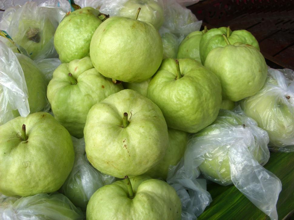 Free Image of Guava Fruit 