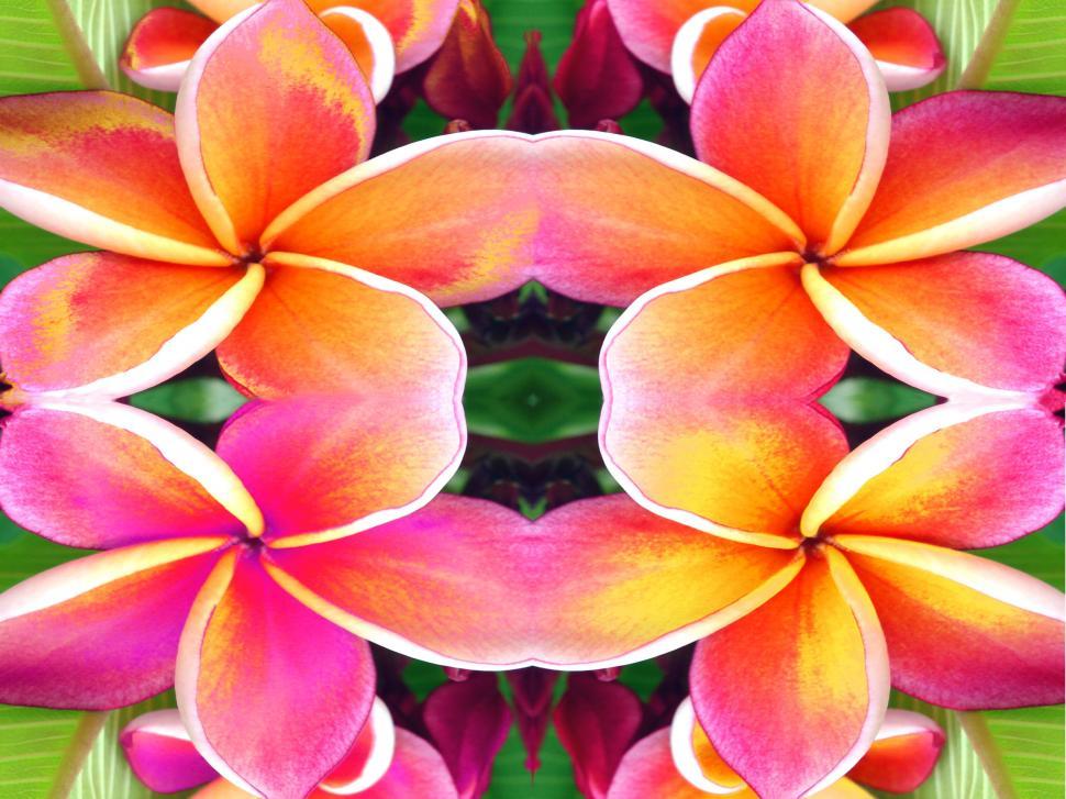 Free Image of Symmetrical floral background 