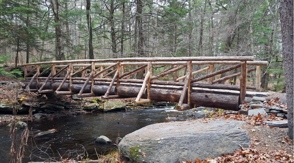 Free Image of Wooden Bridge at George W. Childs Recreation Site 