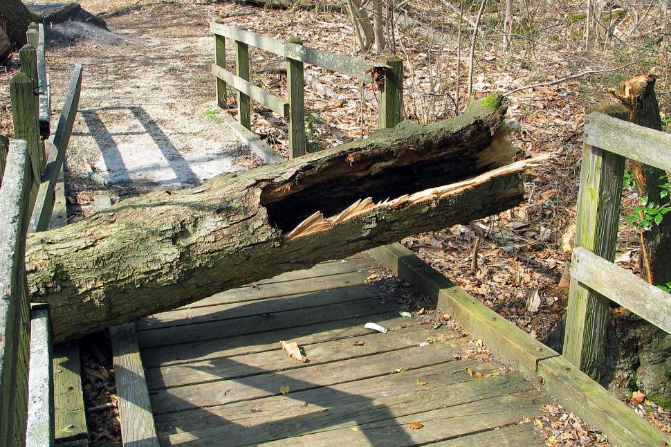 Free Image of Foot Bridge Damaged By Fallen Tree  