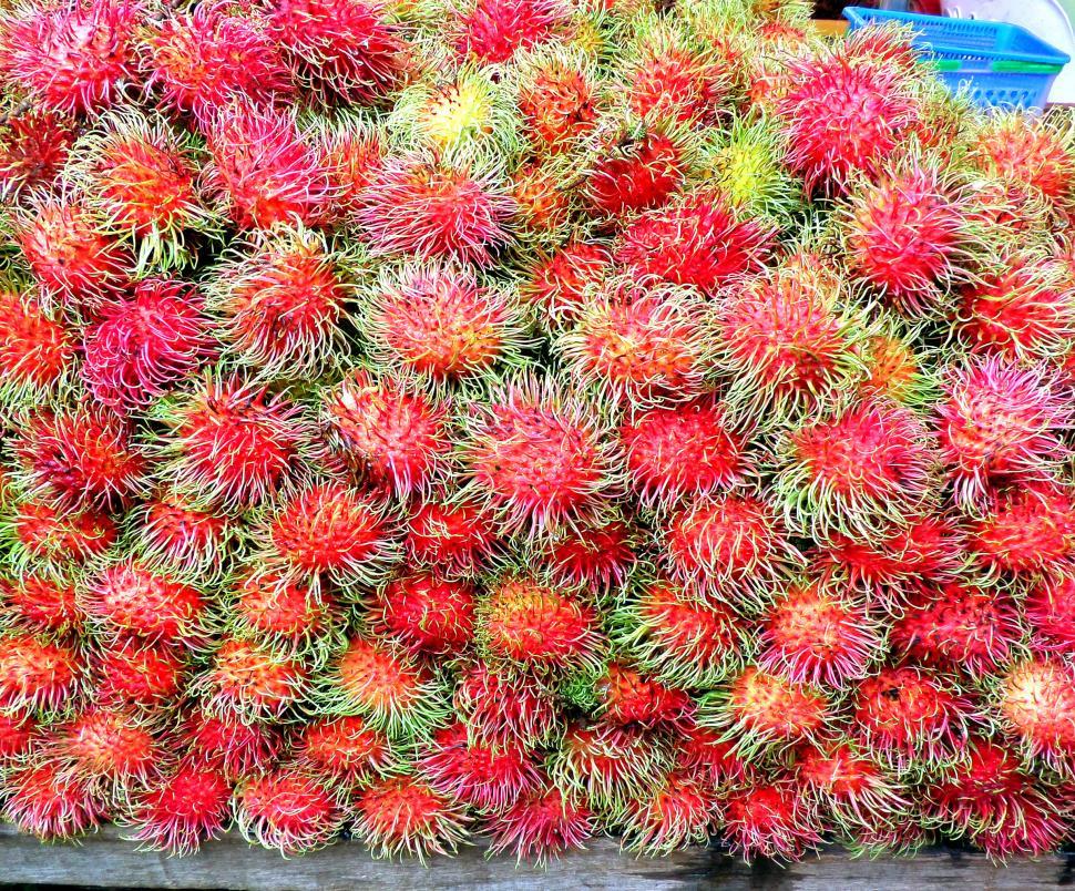 Free Image of Rambutan fruit 