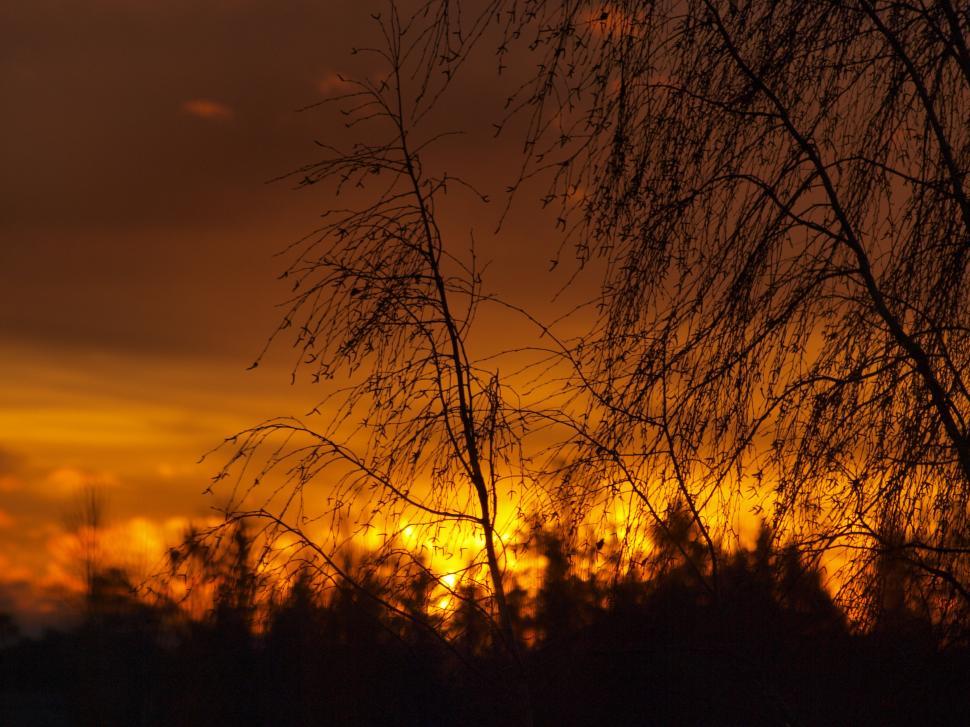 Free Image of Orange Sunset  