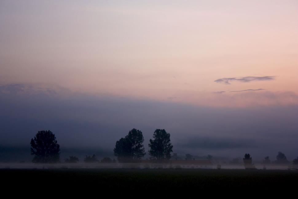 Free Image of Misty Sky Over Trees 