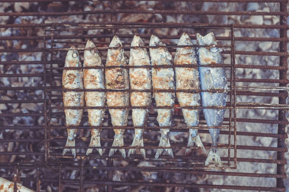 Free Image of Grilled Fish Cooking on a BBQ Grill 