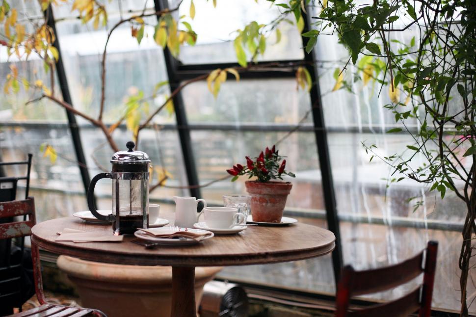 Free Image of Table With Two Cups of Coffee and a Potted Plant 