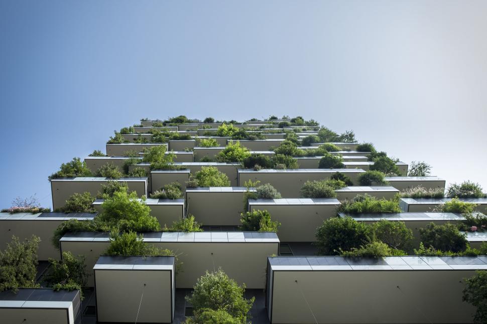 Free Image of Towering Building Covered in Lush Greenery 